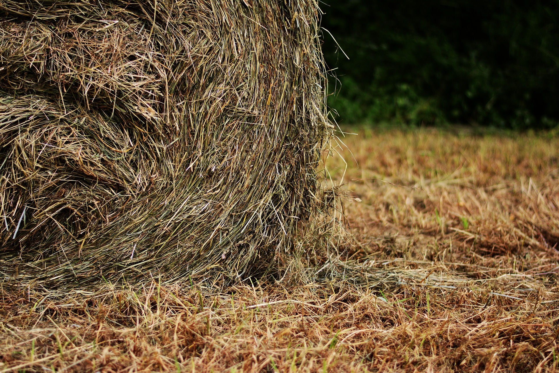 hay bales